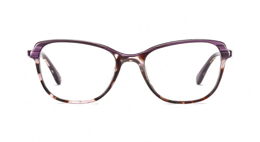 Etnia Barcelona NOTRE DAME P. Eyeglasses - view 33